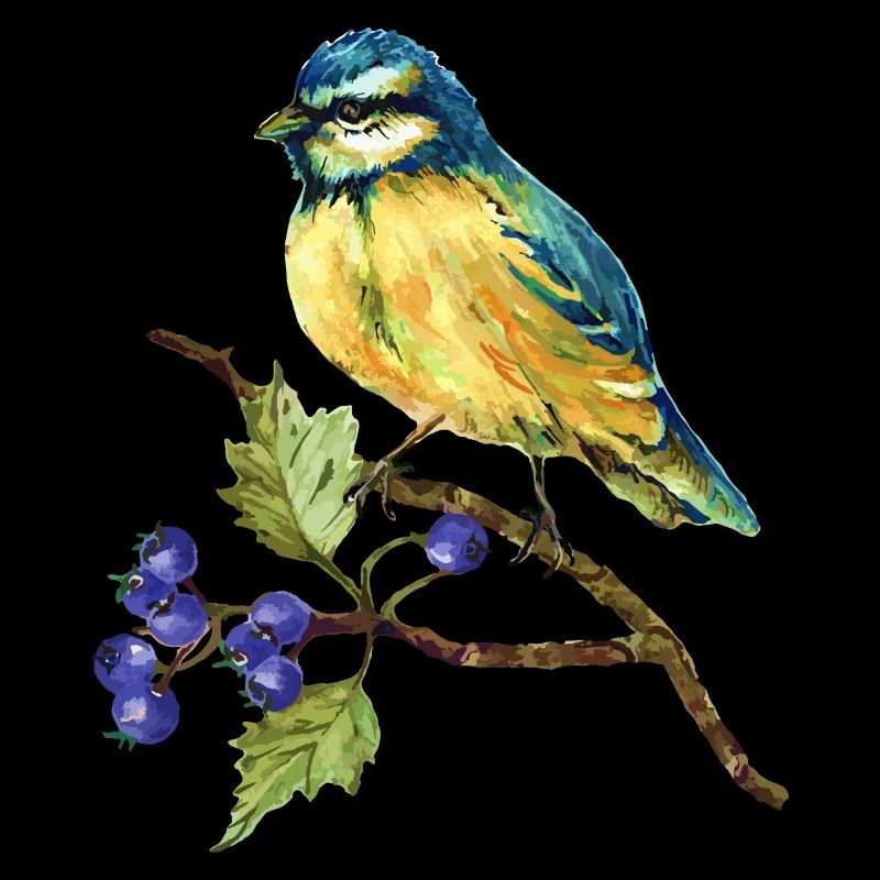 Oiseau coloré