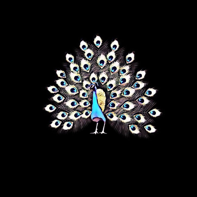 Pfau