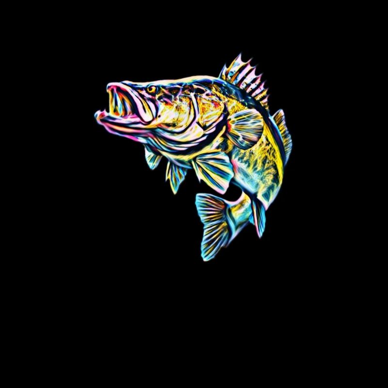 poisson