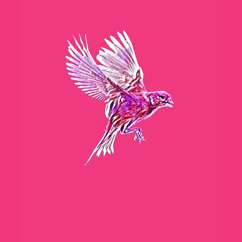oiseau