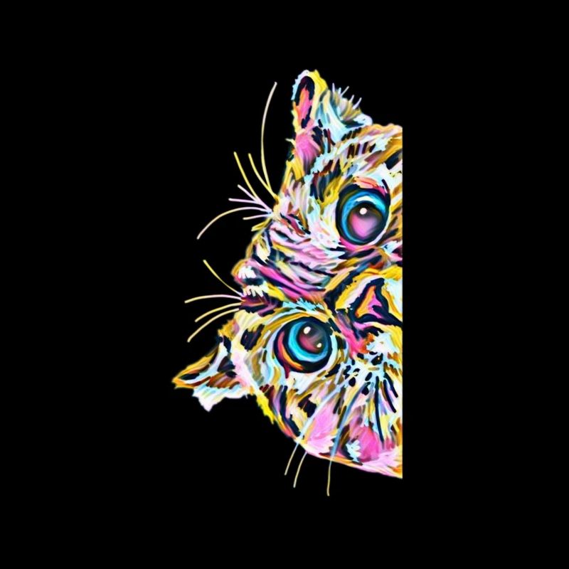 chat