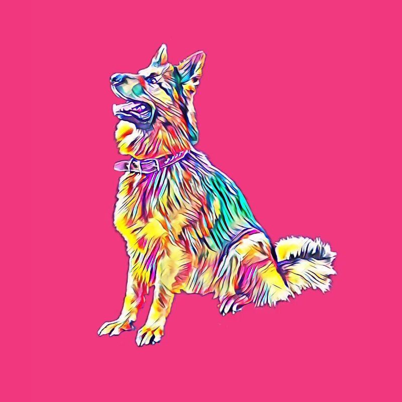 German Shepherd