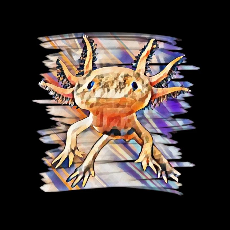 Axolotl