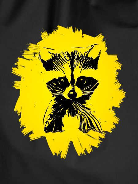 raccoon