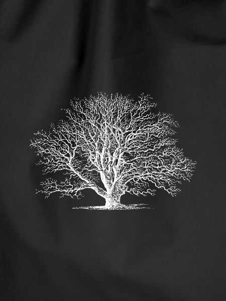 Baum Tree