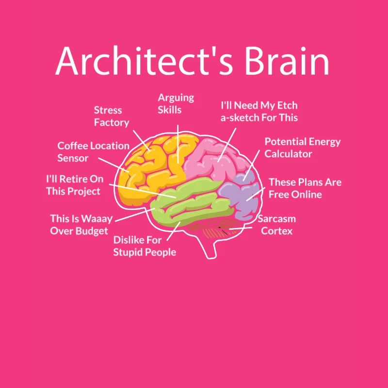 Architecte, Architecture, cerveau d’architecte