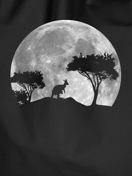 Kangaroo at night