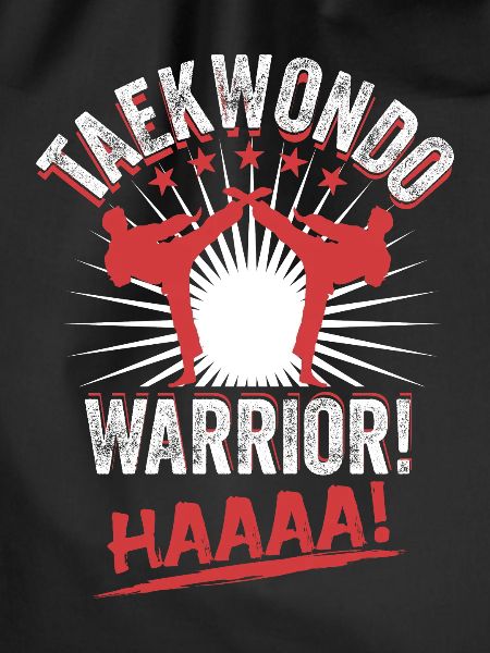 taekwondo warrior! Haaaa!