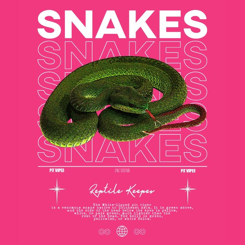 White Lipped Pit Viper Modern Reptile Keeper