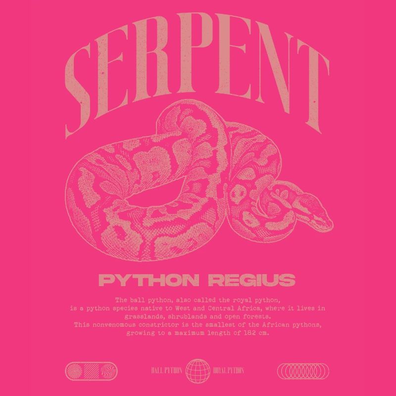 Ball Python Modern Reptile Keeper Streetwear