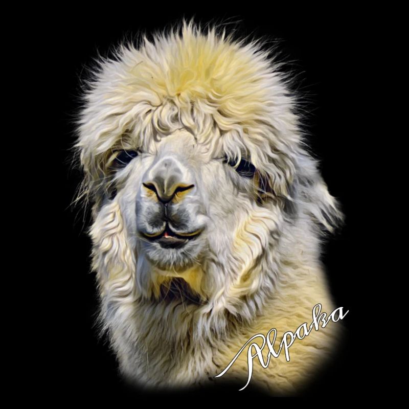 Alpaka - Alpaca Kopf