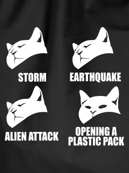 Cat - selective perception - saying