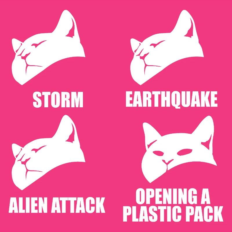 Chat - perception sélective - dire