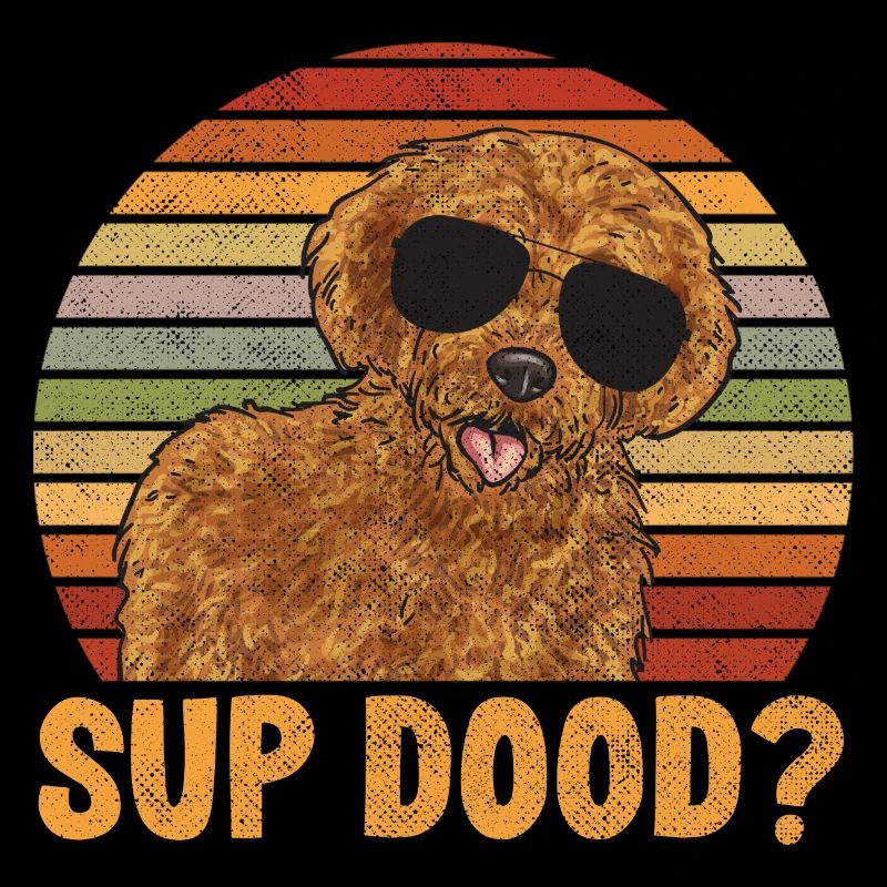 Labradoodle Hund