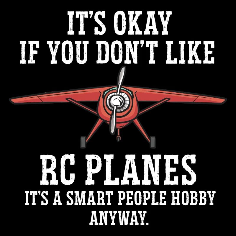Remote Controlled Airplane Model Airplane