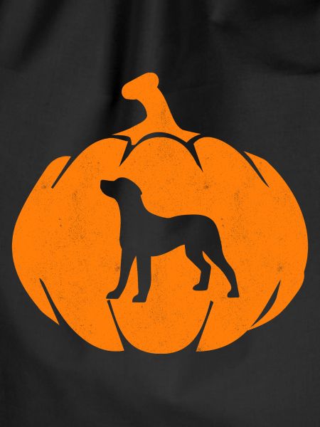 Halloween Dog Pumpkin