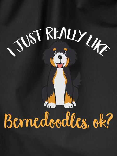 Bernedoodle Hund