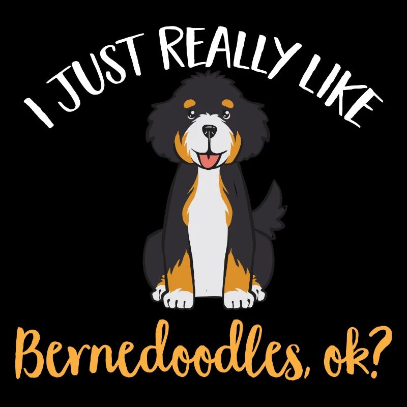 Bernedoodle Dog