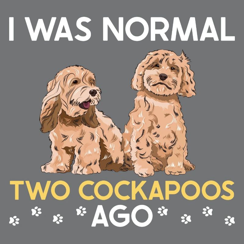 Cockapoo Dog