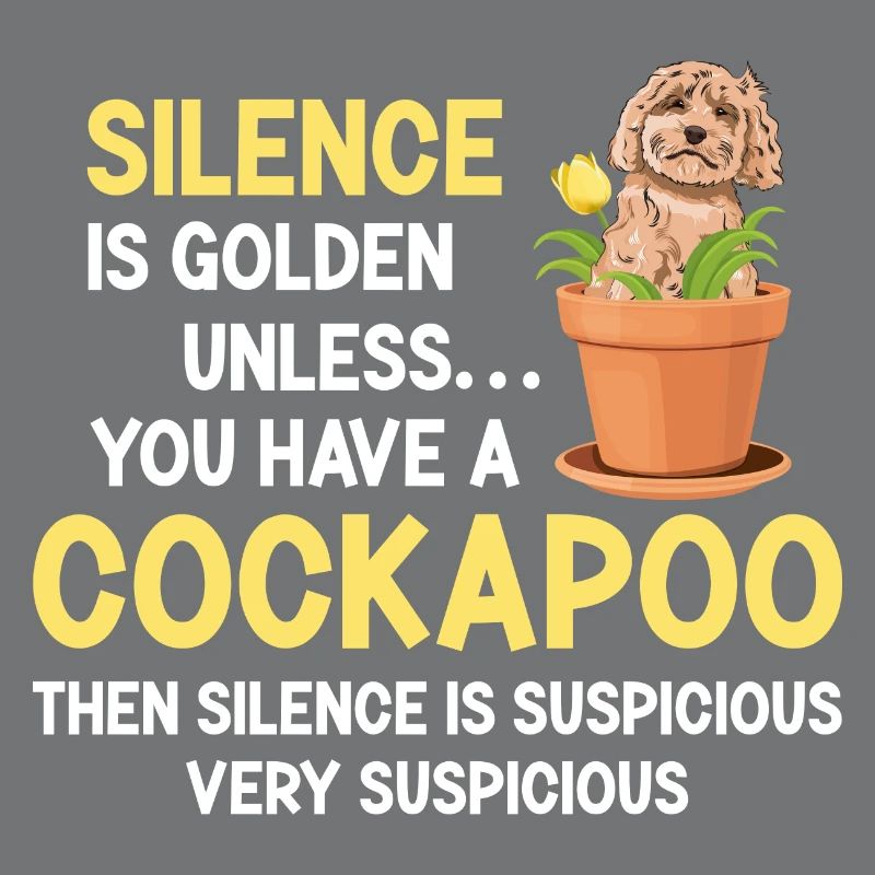 Cockapoo Hund