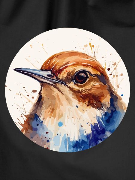 Wren bird