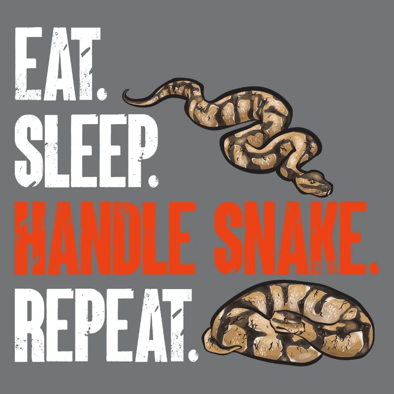 Ball Python Schlange Königspython