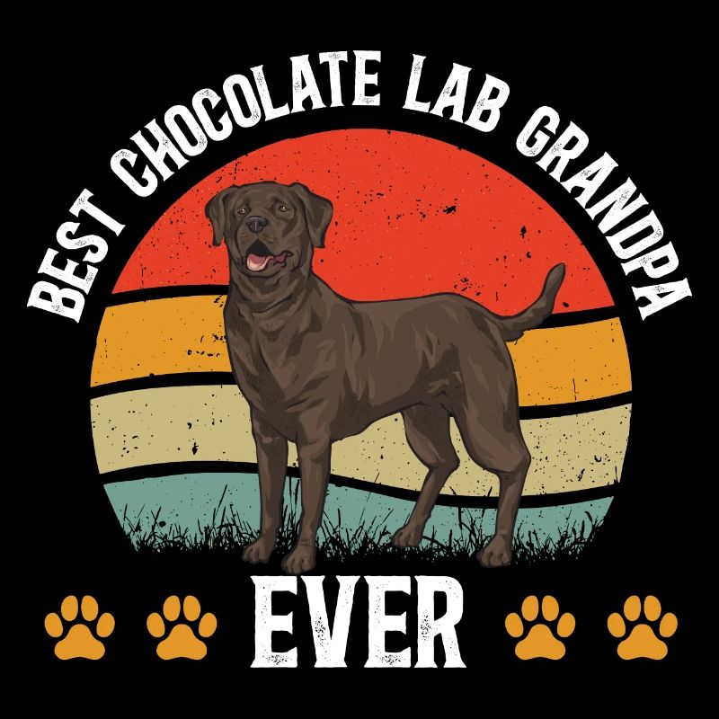Schoko Brauner Labrador Retriever Hund