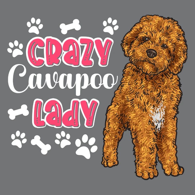 Cavapoo Cavoodle Capoodle Dog