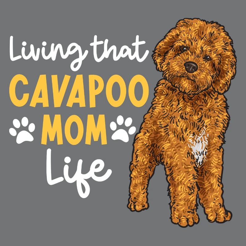 Cavapoo Cavoodle Capoodle Hund
