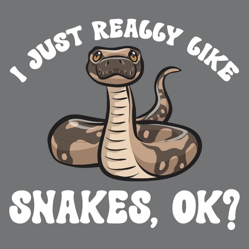 Ball Python Schlange Königspython