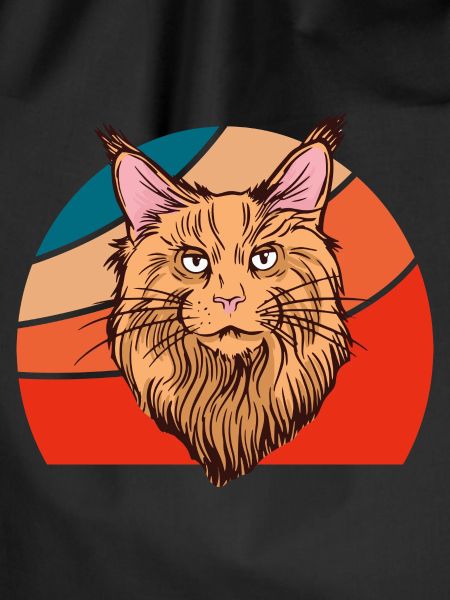 Maine Coon Cat