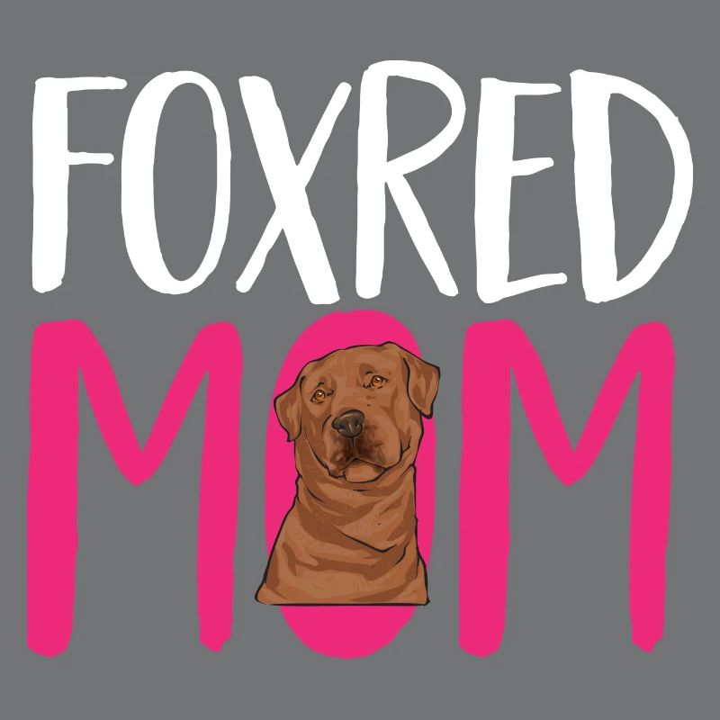 Foxred Labrador Fox Red Labrador Retriever