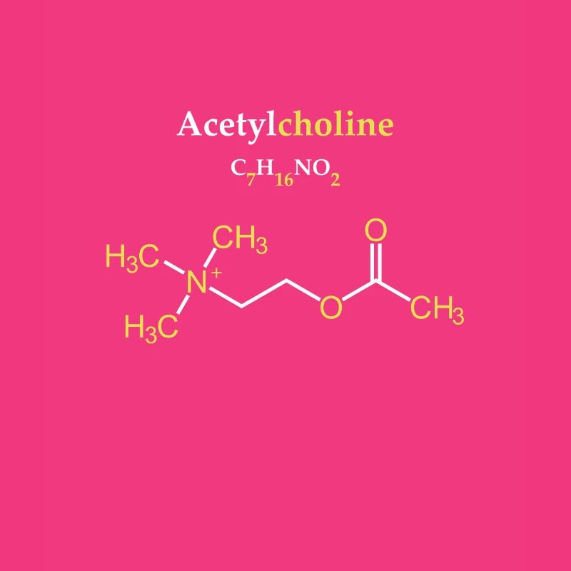 Acetylcholine Molecule