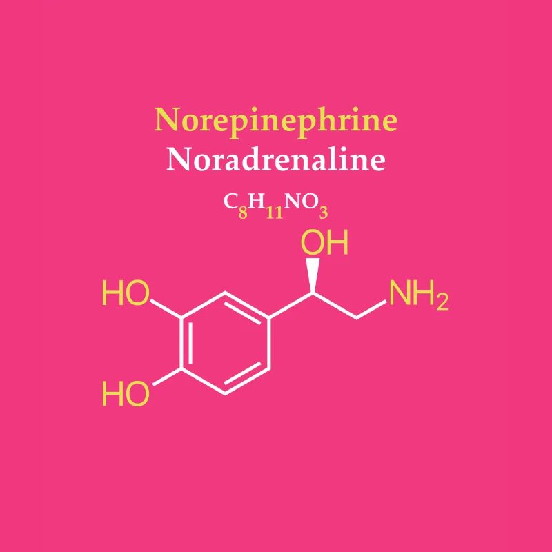 Noradrenalin-Molekül