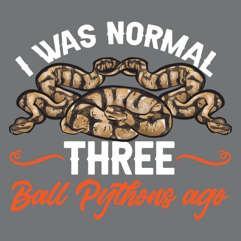 Ball Python Schlange Königspython