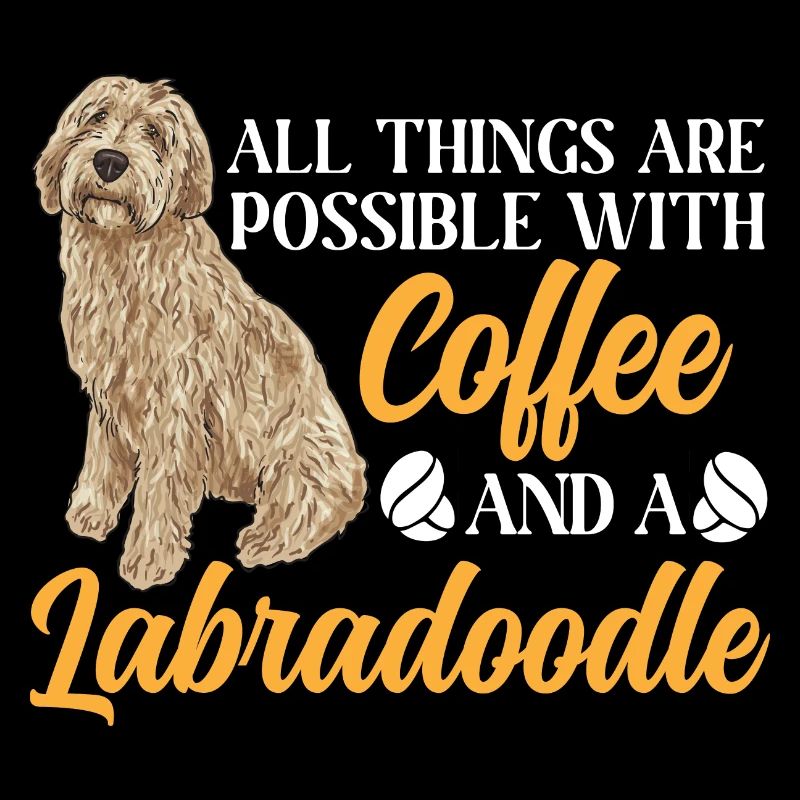 Labradoodle Hund