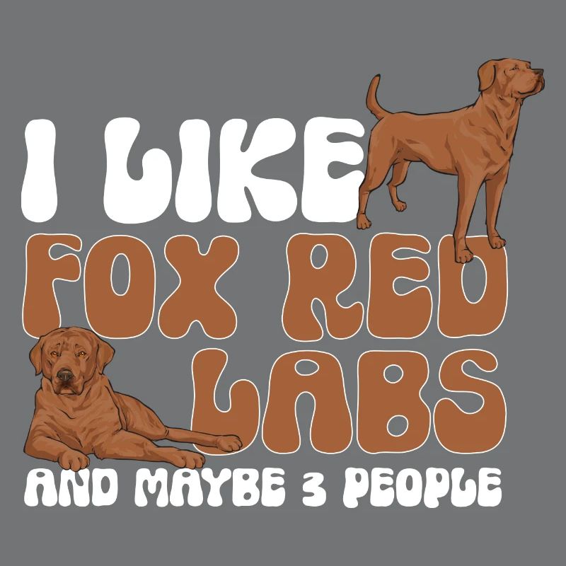 Foxred Labrador Fox Red Labrador Retriever