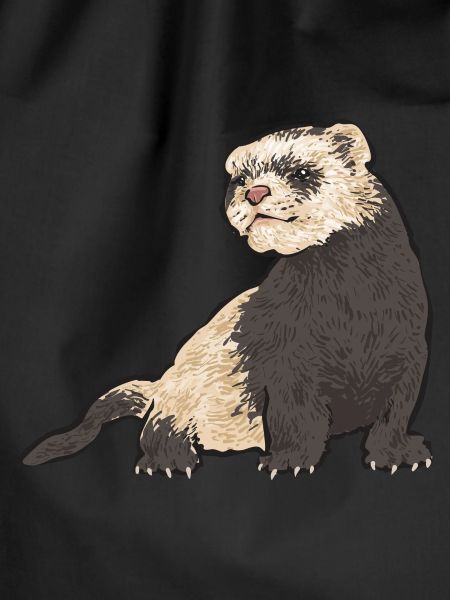 Ferret Owner Ferret
