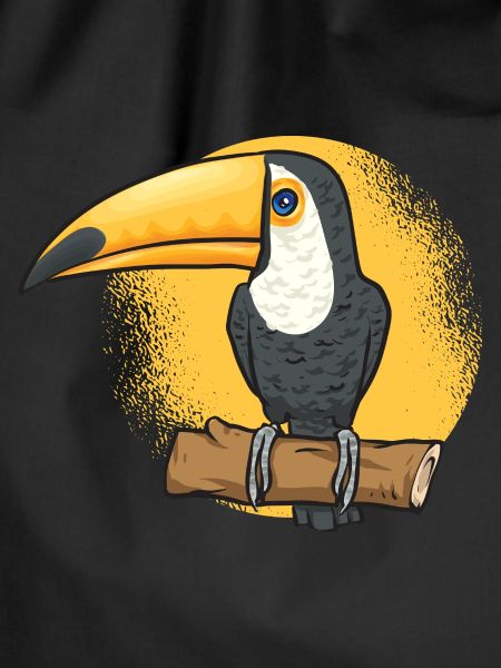 Toucan Bird Rainforest