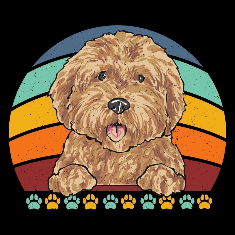 Goldendoodle Doodle Hund