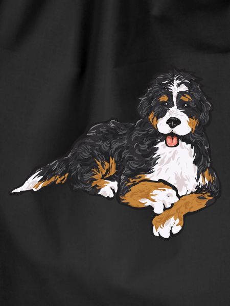 Bernedoodle Dog