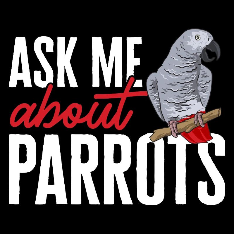 Graupapagei African Grey Parrot Papagei