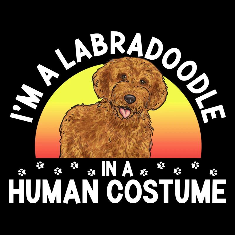 Labradoodle Hund