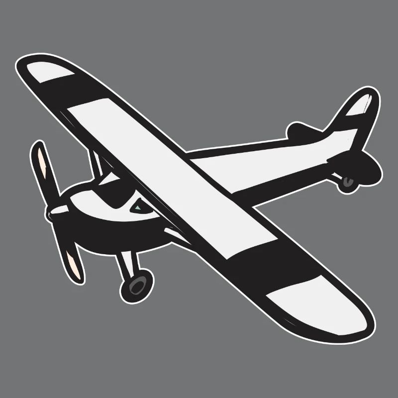 Modèle d’avion télécommandé