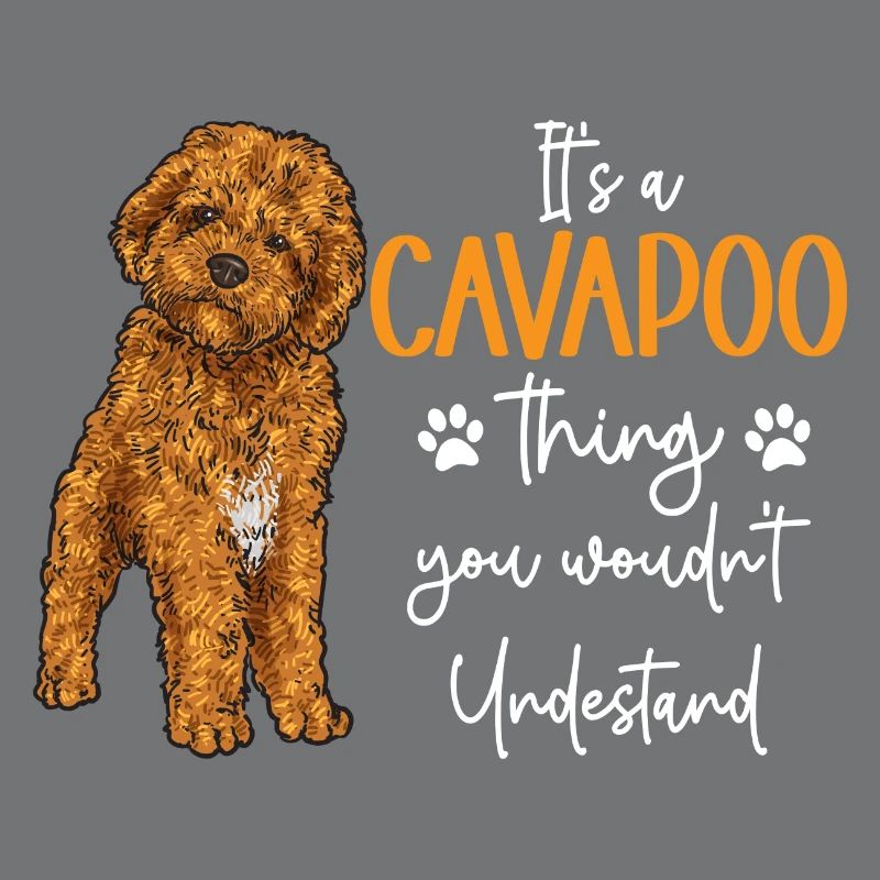 Cavapoo Cavoodle Capoodle Dog