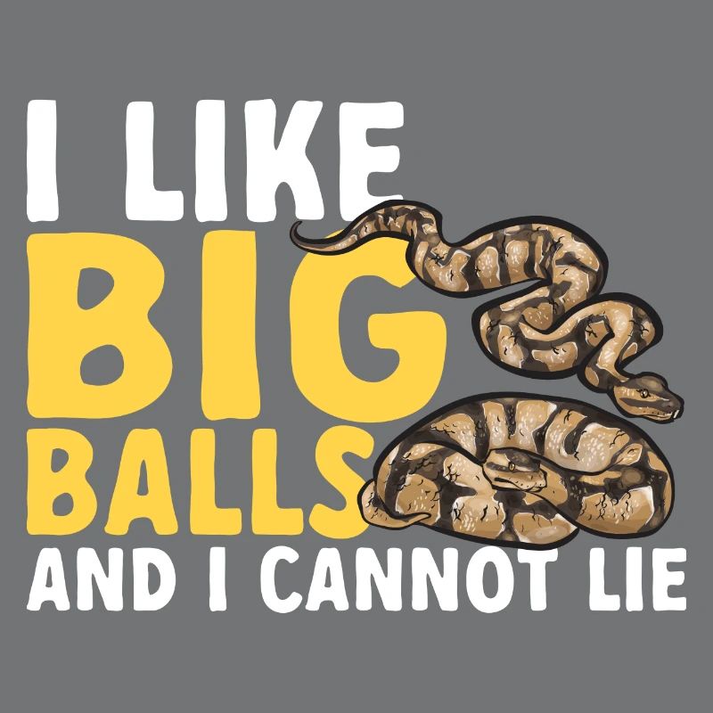 Ball Python Schlange Königspython