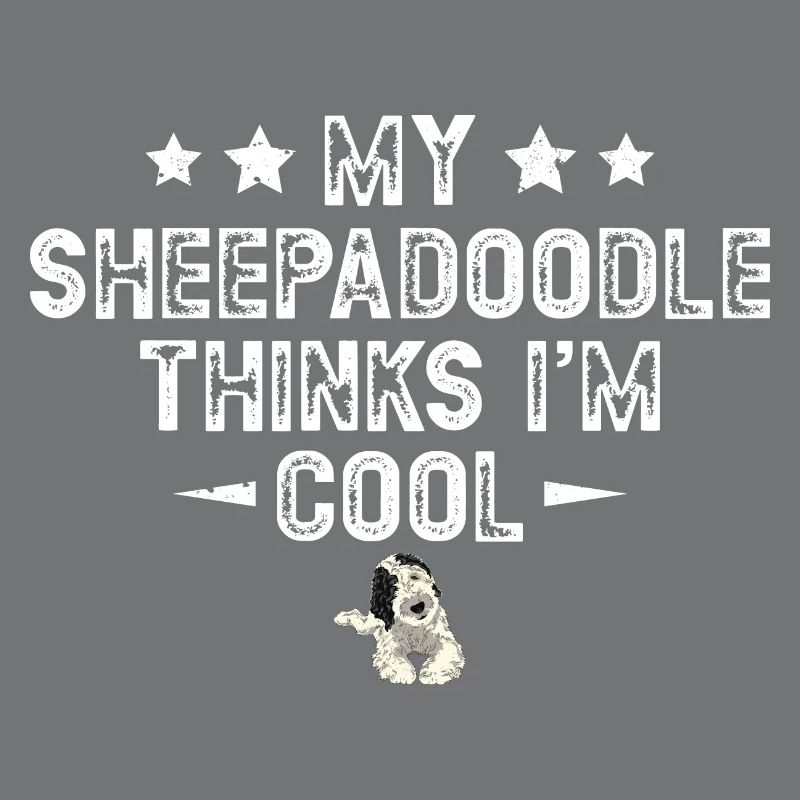 Sheepadoodle Doodle Hund