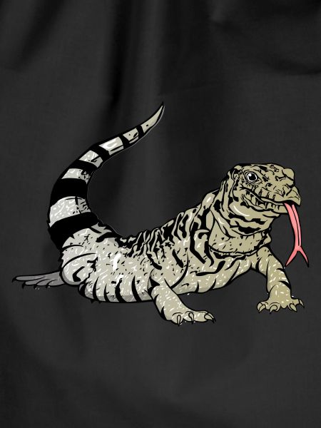 Tegu Lizard Reptile Herpetologist