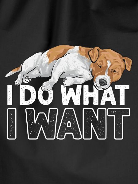 Jack Russell Terrier