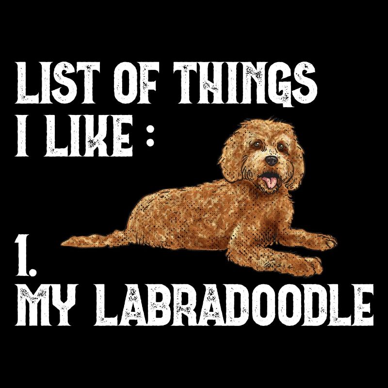 Labradoodle Hund